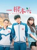 一根木头1