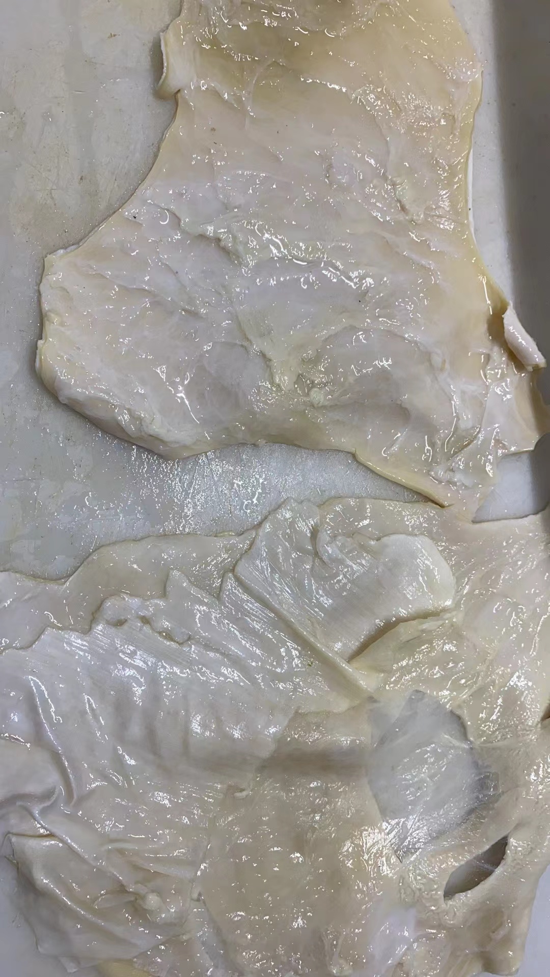 救命！这锅筋头巴脑也太香了吧！新鲜冷冻八分熟，火锅党狂喜