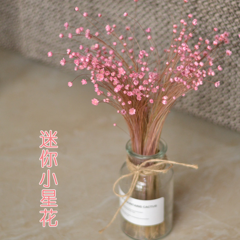 巴西小星花永生花束适合哪些场合？