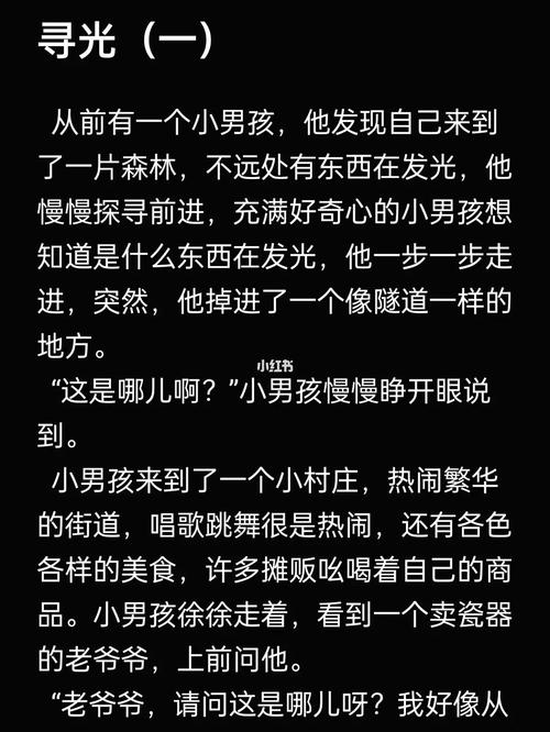 寻光者,寻光者的起源