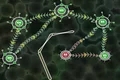 细菌大战2无敌版