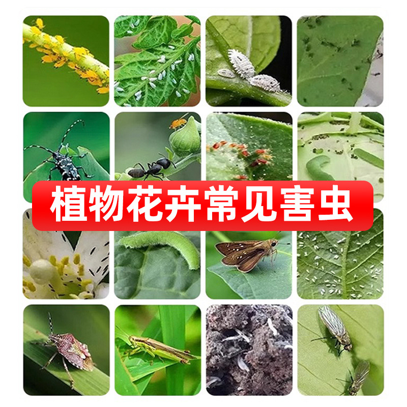 如何关闭蚂蚁花呗的自动还款功能？