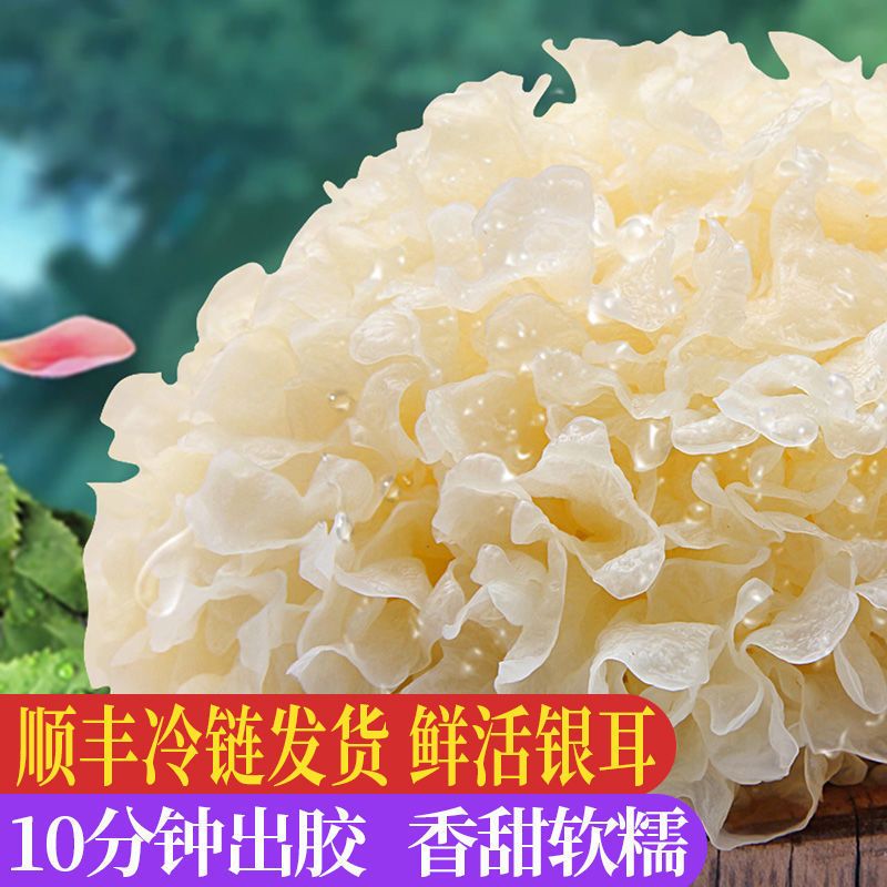 古田新鲜银耳：6朵盒装雪耳，顺丰直达，糯稠胶质，800g盛宴等你来尝鲜！