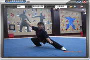 陈式太极拳教学软件2012.13.05