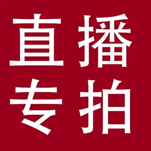 揭秘德甲新星：勒沃库森直播背后的战术魔法?