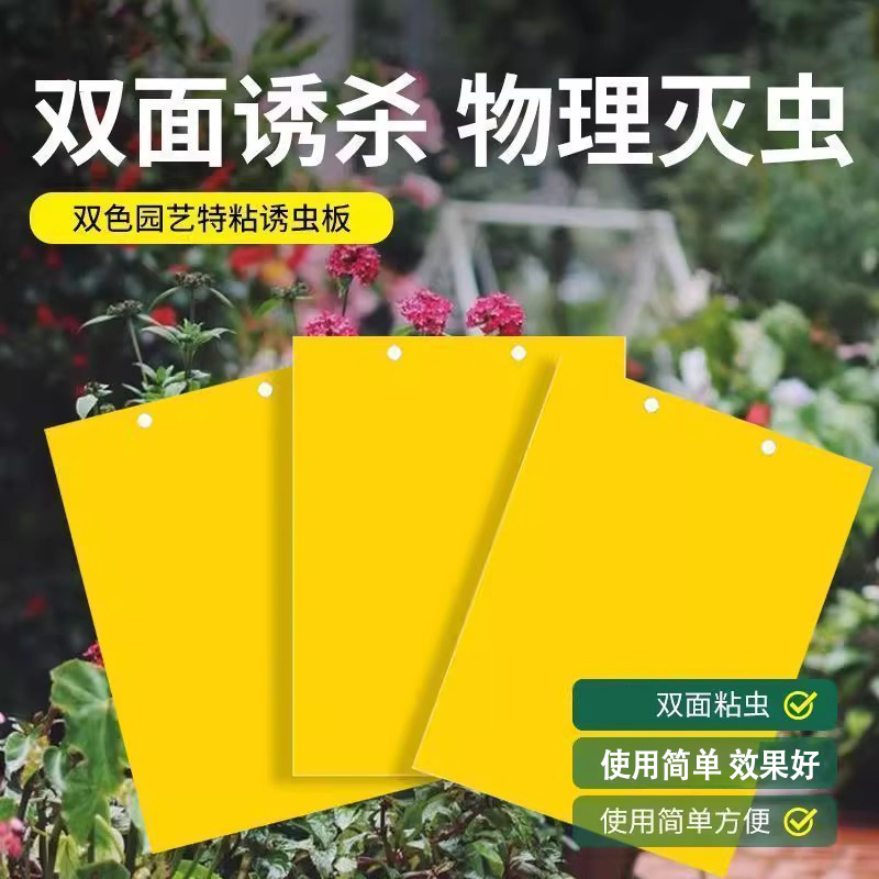 粘虫板黄板：大棚果园灭虫神器，告别小飞虫的烦恼！