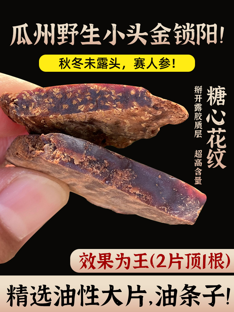 瓜州秘境大揭秘！探秘古城新窗口!