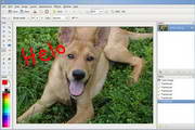 Pinta For Linux1.4