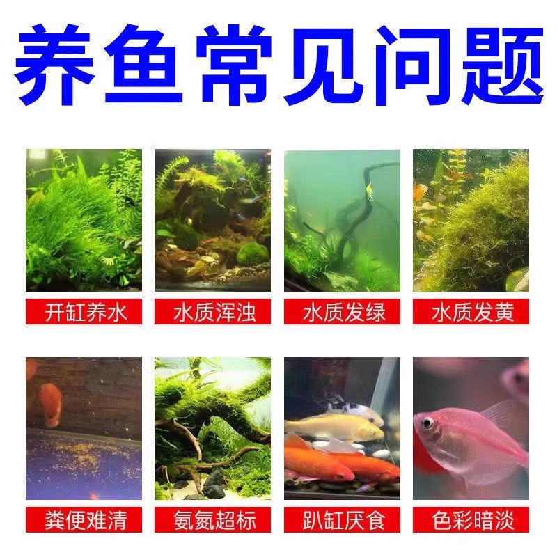 鱼耀水净爽：调水净水新神器，水产养殖的守护神✨