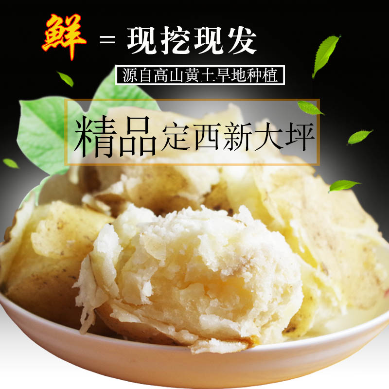 25年新鲜甘肃土豆：定西新大坪洋芋，农家自种的地道美味！