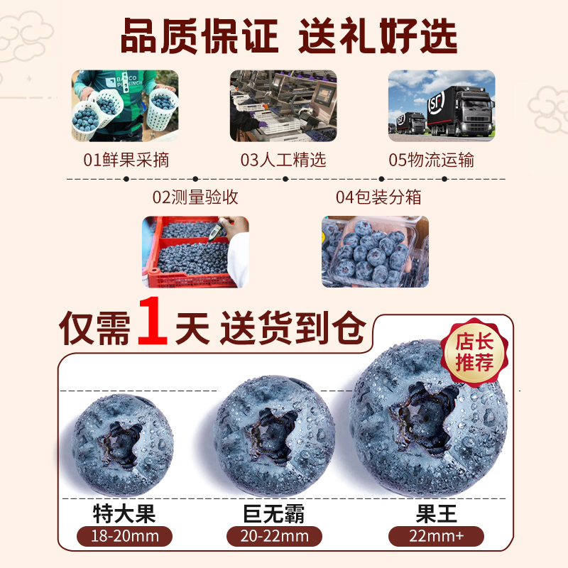 蓝莓怎么吃最健康又美味？全面解析蓝莓的吃法