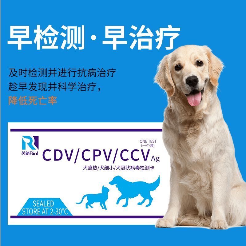 宠物犬细小试纸：快速检测，守护爱宠健康
