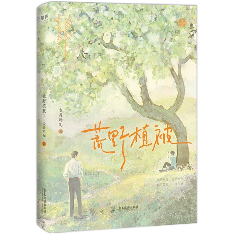 985211双一流哪个更厉害？真相让人意想不到！