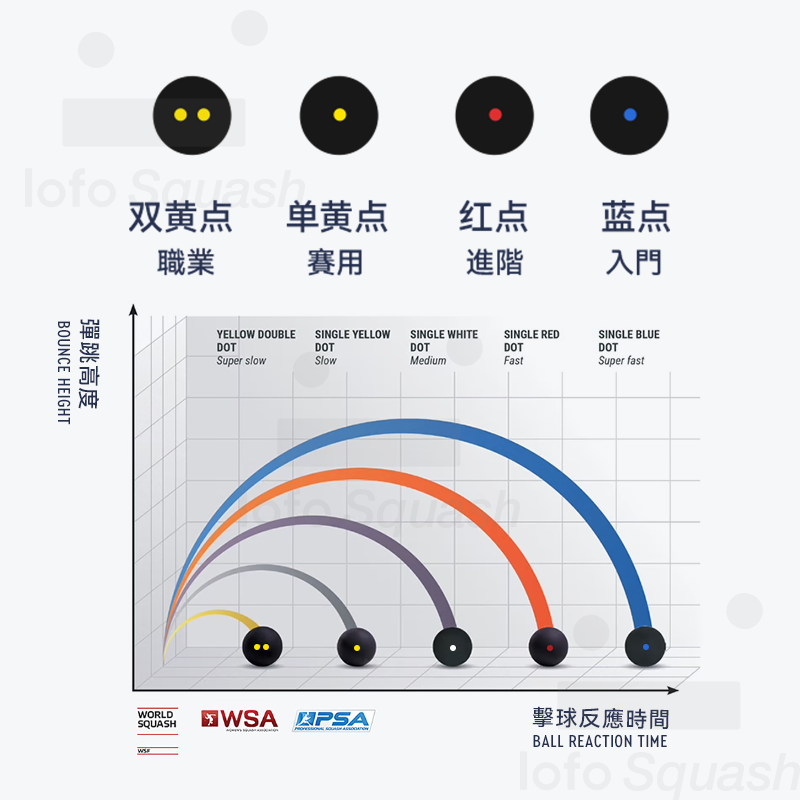 壁球入门全攻略：蓝点、黄点、红点、双黄点，哪个才是你的菜？
