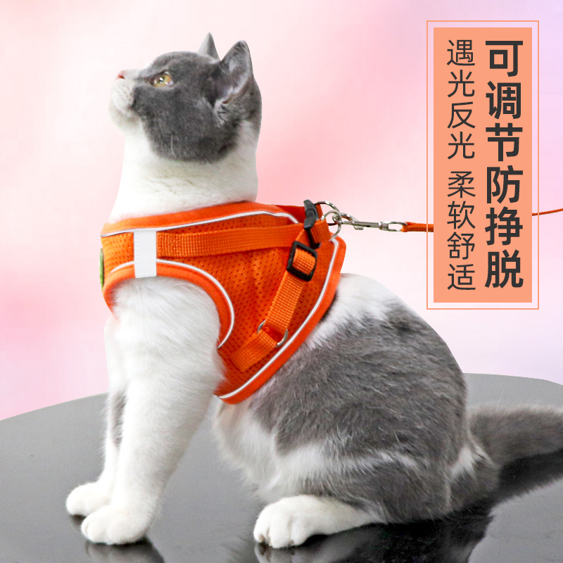 猫咪牵引绳防挣脱外出专用背心式布偶猫宠物背带可调节胸背遛猫绳：萌宠出行新姿势，安全遛猫不烦恼！
