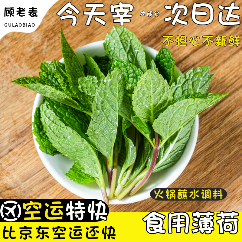 空运云南新鲜薄荷：解锁火锅蘸料新体验，4斤鲜薄荷叶让你大呼过瘾！