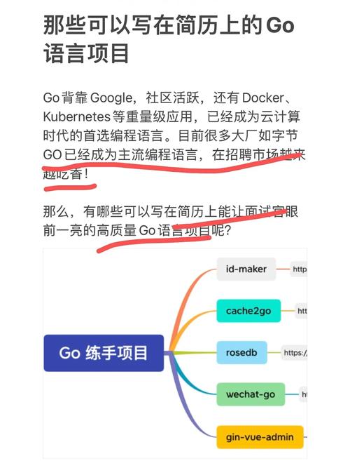 go什么意思中文,Go语言及其在编程领域的应用