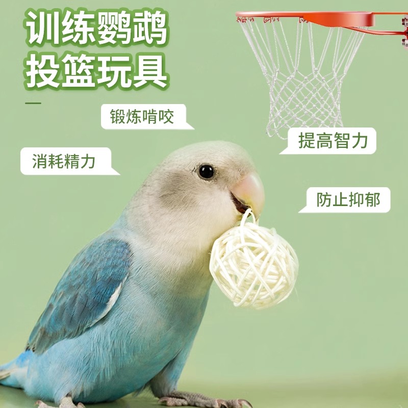 鹦鹉磨嘴石：给你的小宝贝最好的咀嚼享受，强健骨骼的秘籍✨