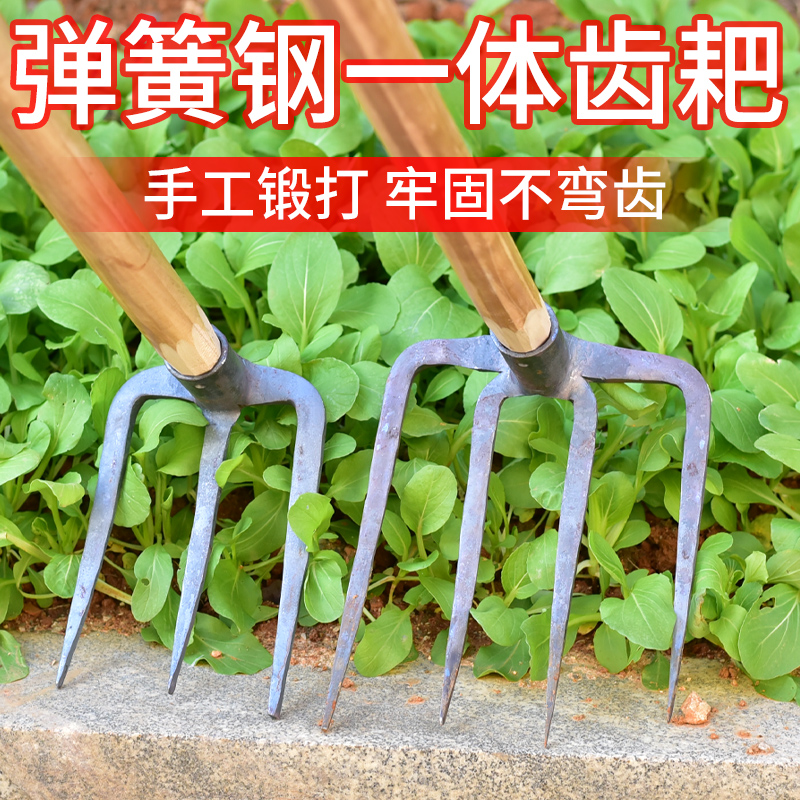 四齿耙子 vs 钢耙头：种菜松土神器大比拼，哪个才是开荒翻地的终极武器？