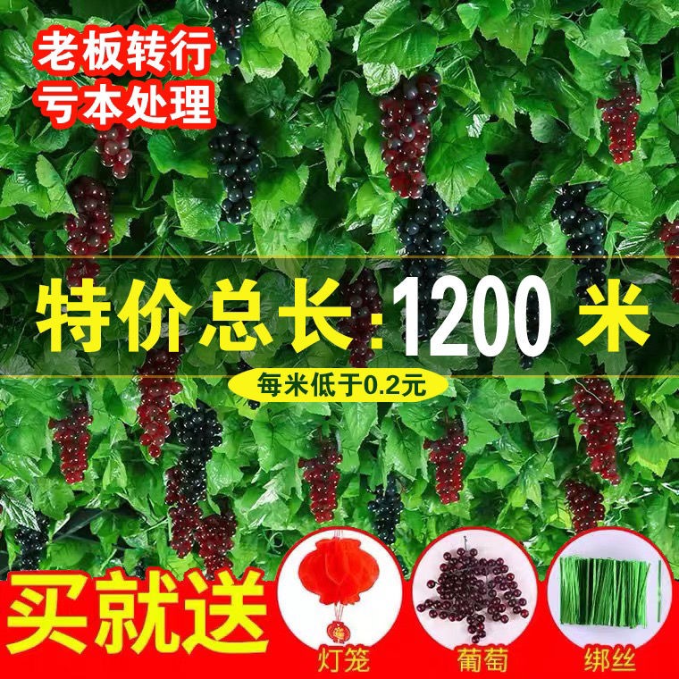 天津211大学有几所？揭秘天津高校的“天花板”排名！