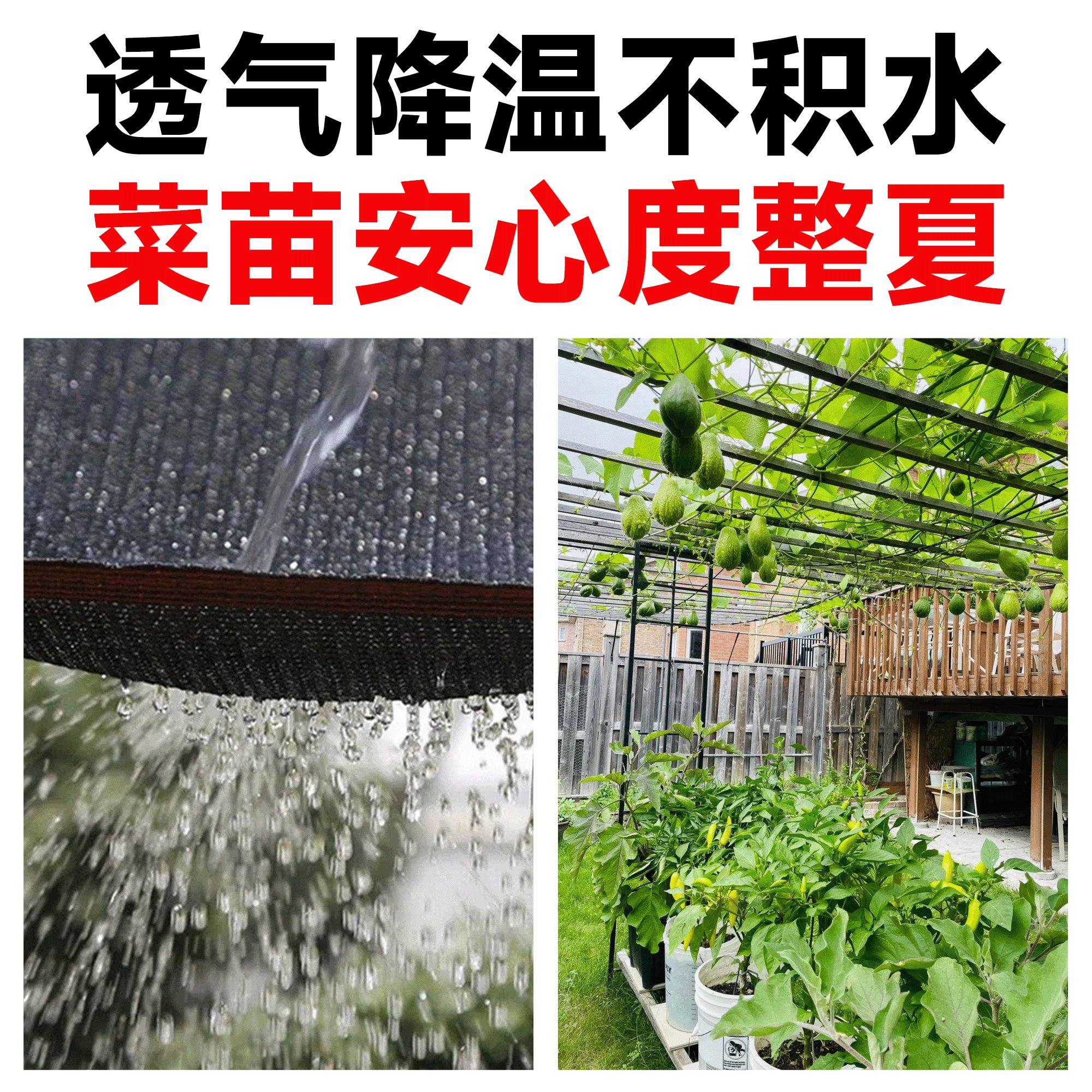 黑网遮阳网防晒网：农用大棚的秘密武器，如何选才不会踩雷？