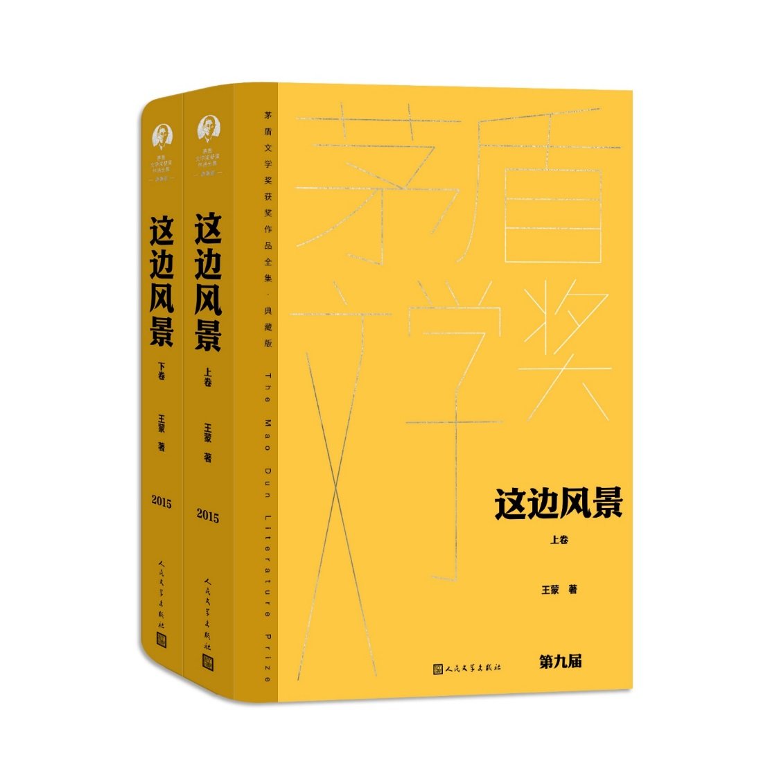 这边风景：茅盾文学奖得主王蒙作品，带你领略文学之美✨
