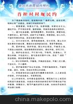 村规民约条例