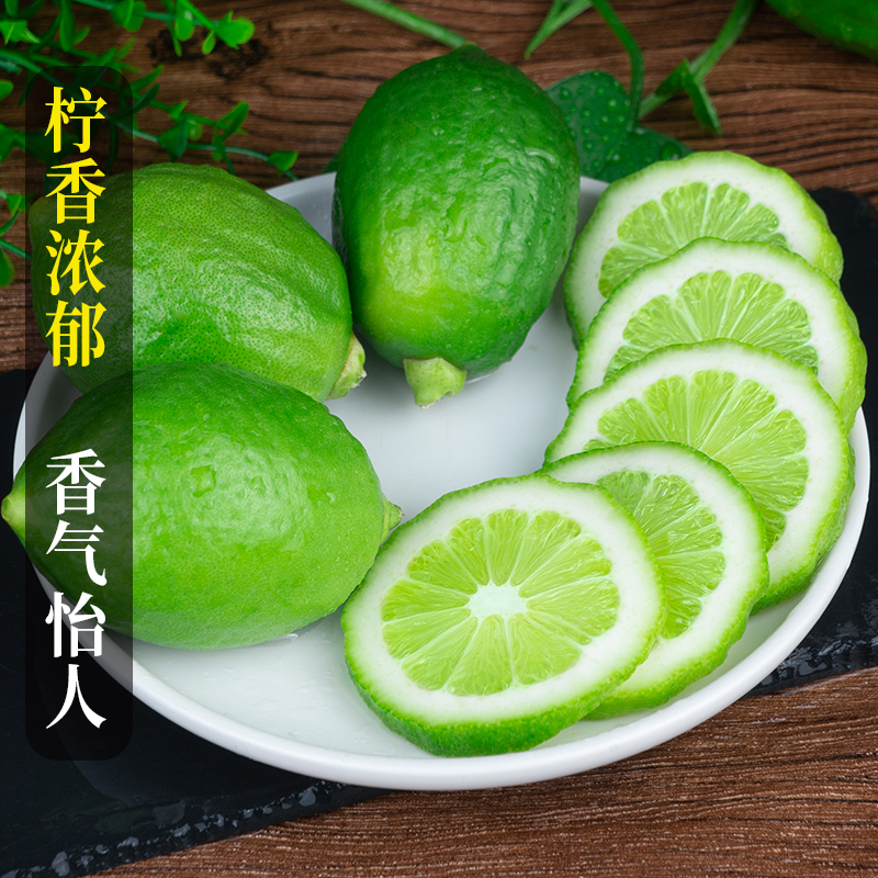 广东香水柠檬真的绝！奶茶店专用无籽大果，一口爆汁太上头了