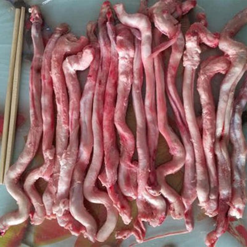 蒙古羊睾丸4斤新鲜冷冻！烧烤串神器，吃货姐妹冲鸭