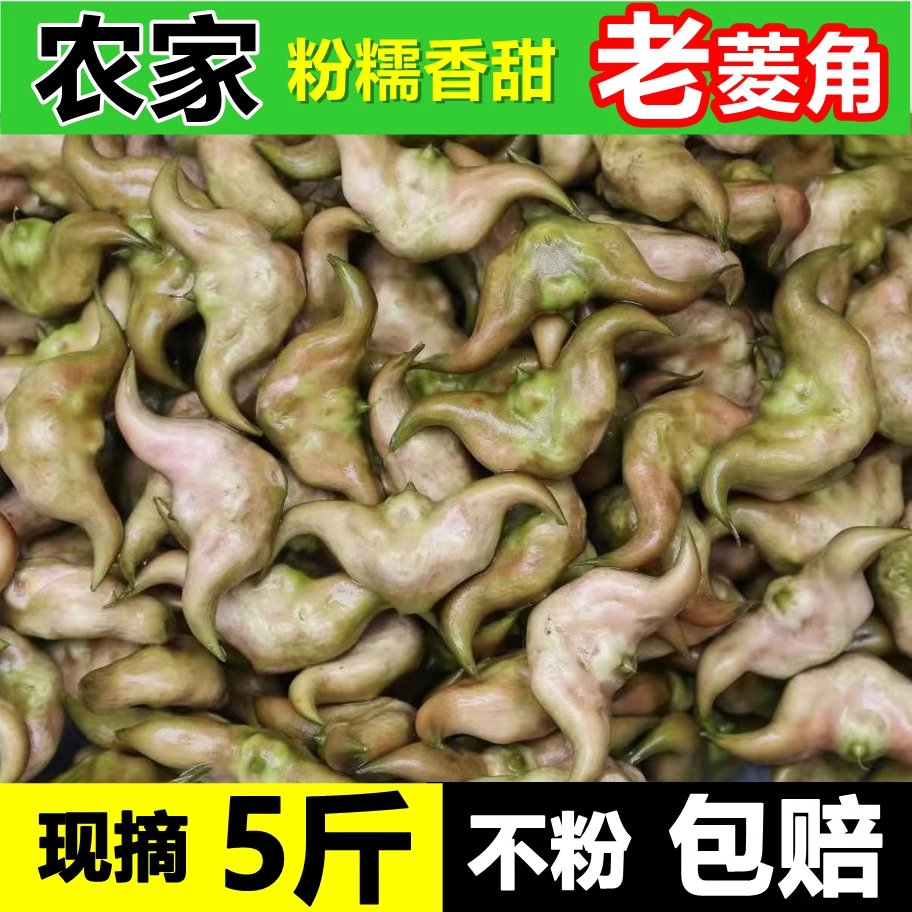 老菱角5斤湖北特产！黑壳菱角粉糯爆汁！这波不冲真的亏大了