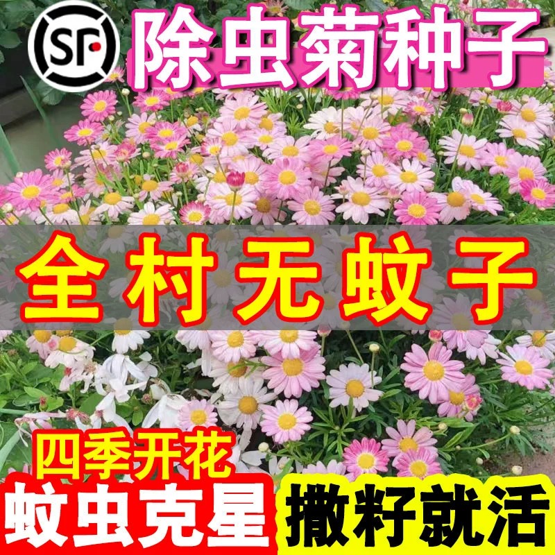 淘票票退票难题破解指南：为什么退不了？怎么解决？