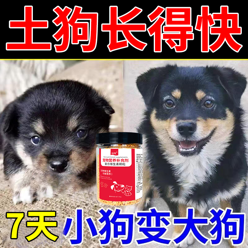 土狗增肥秘籍| 宠物营养补充剂，告别挑食厌食，让狗狗快速长胖