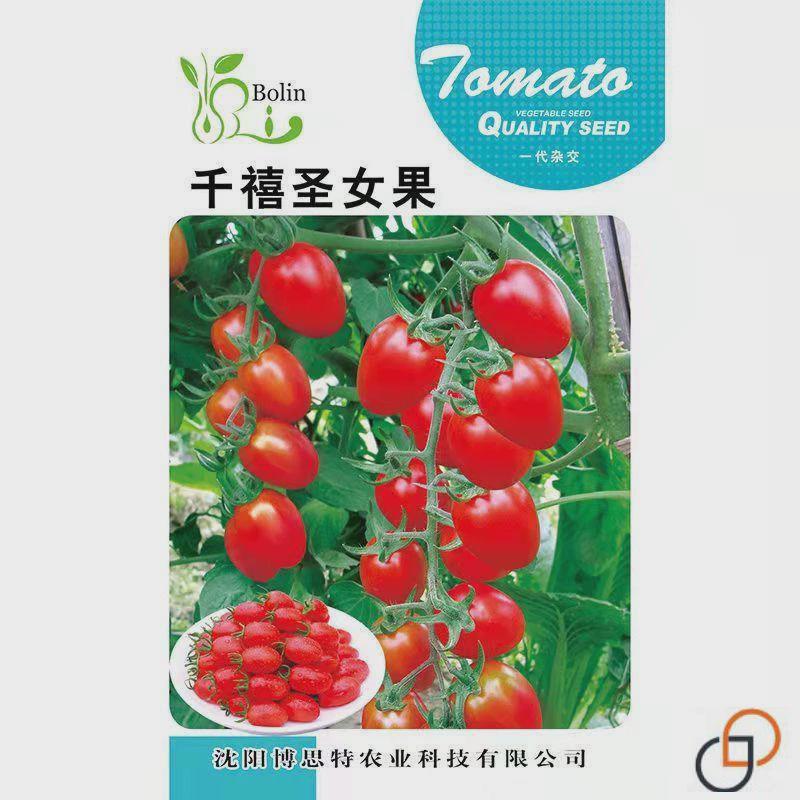 小番茄圣女果包装礼盒：3斤装珍珠棉网格拉伸网套，快递箱里的甜蜜惊喜！