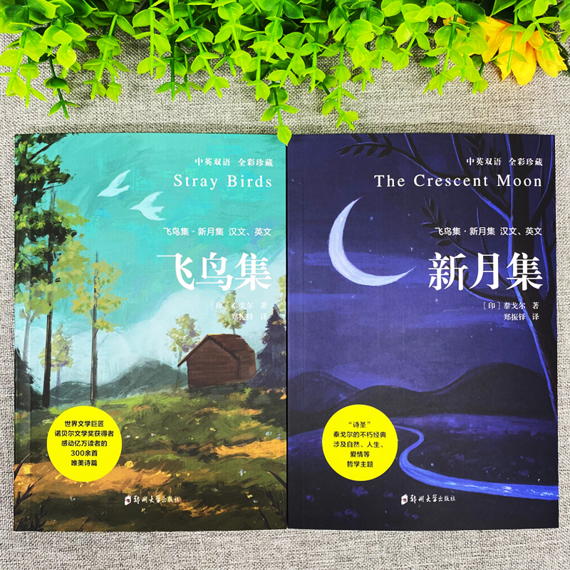 英语教材与教师角色：掌握教学艺术，成就卓越课堂✨