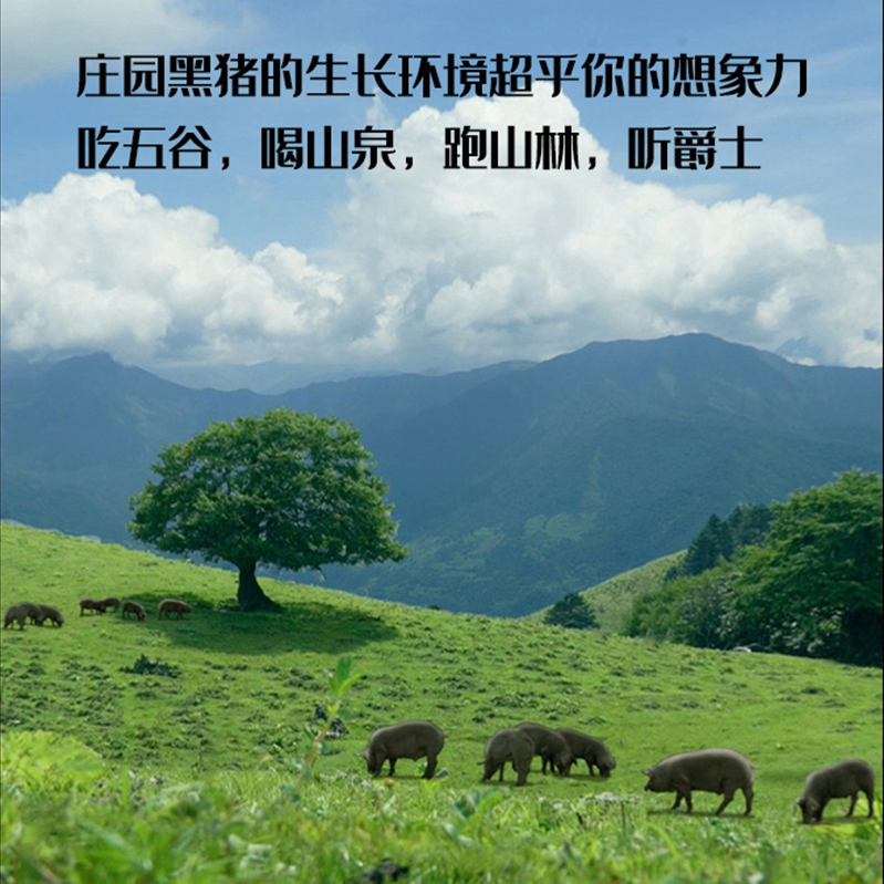 黑猪油：无添加纯净美味，家用商用烘焙全能起酥王者！