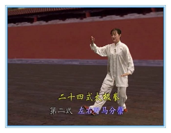 吴阿敏24式太极拳精讲U盘视频：轻松入门，练就太极高手！‍♂️