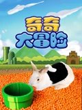 奇奇大冒险
