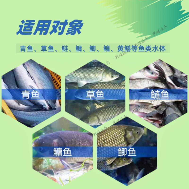 硫酸铜硫酸亚铁粉合剂：鱼塘养殖的守护神，高效杀虫神器！