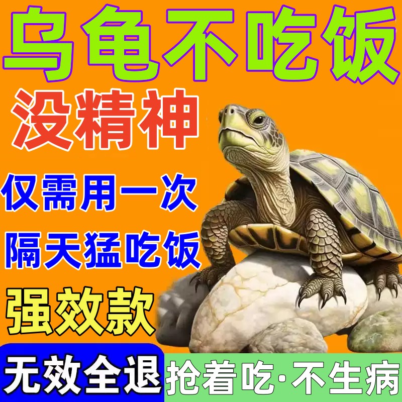 电解多维营养液：巴西草龟不吃食？这招让你的乌龟爱上吃饭！