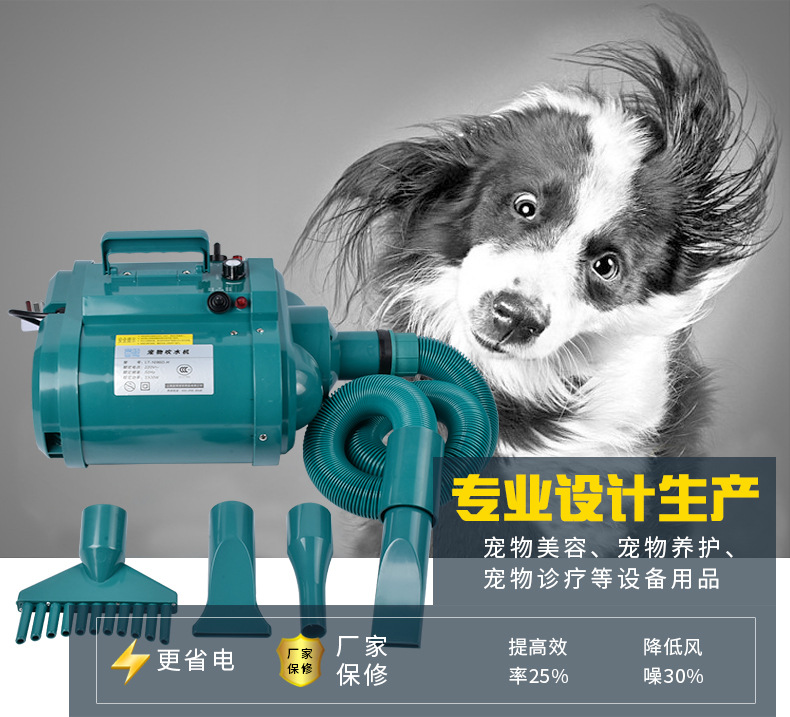 蓝豚吹水机：猫咪洗澡烘干神器，大功率静音吹风机真香警告！