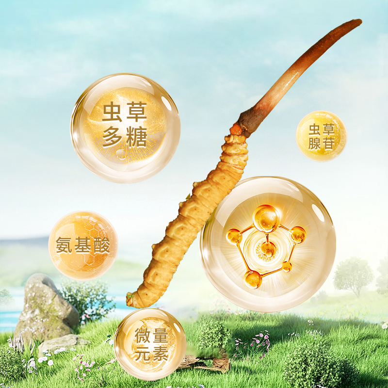2025新干草：那曲冬虫夏草，正宗野生虫草，一克3根，5克装，健康养生新选择
