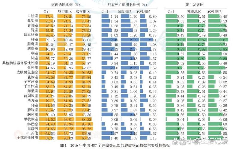 肿瘤大数据,助力癌症精准医疗的新时代