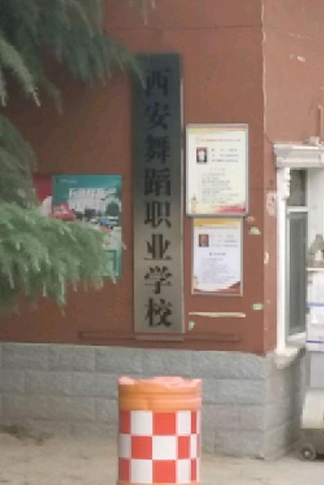 舞蹈艺术职业中等专业学校,探索优质舞蹈中专学校的魅力与实力