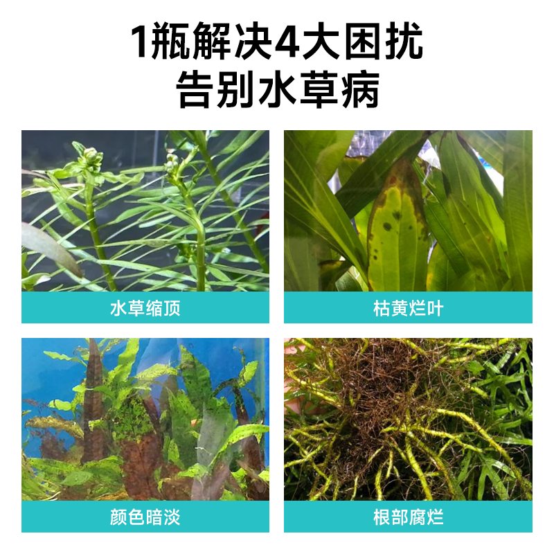 水草液肥+草缸综合肥料=养出完美水草秘籍