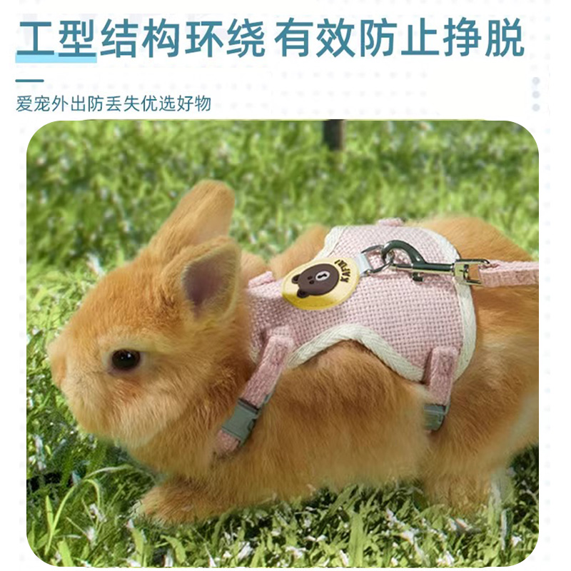 遛兔子神器——防挣脱牵引绳，让你的宠物兔安全出行的秘密武器！