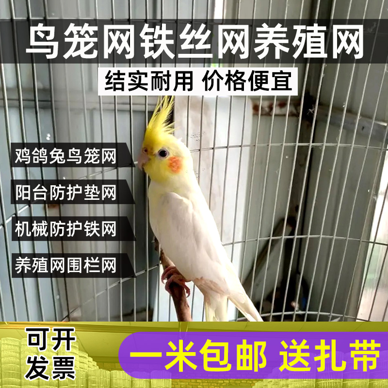 家庭养殖高手必备：防黄鼠狼防蛇防老鼠的鸡笼子，轻松养鸡鸭兔小型犬