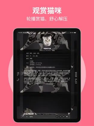 猫品种大全