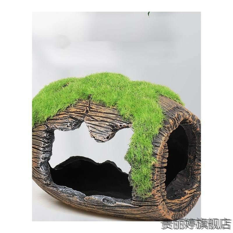 中华长臂虾：冷水虾界的宝藏，解锁水族箱新玩法！