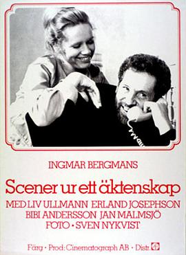 婚姻生活Scenerurettäktenskap[电影解说]