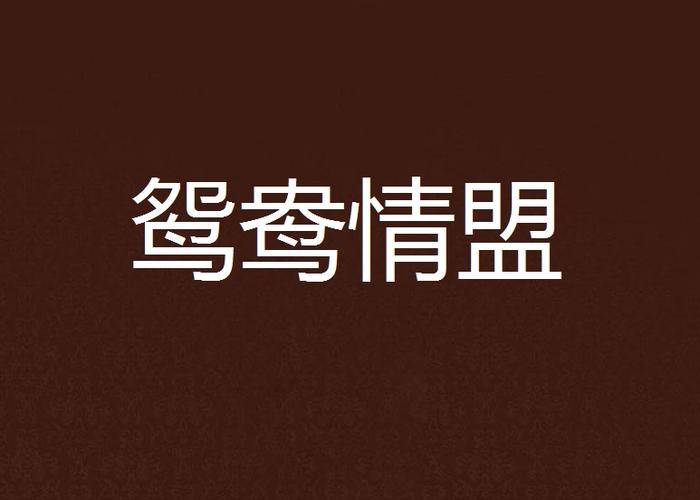 情情卡盟,解锁情感互动新体验,打造社交新潮流